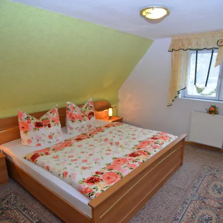 Charming Flat In Sebnitz With Garden