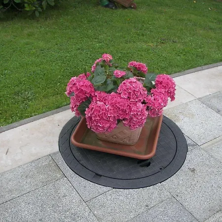 Charming Flat In Sebnitz With Garden *