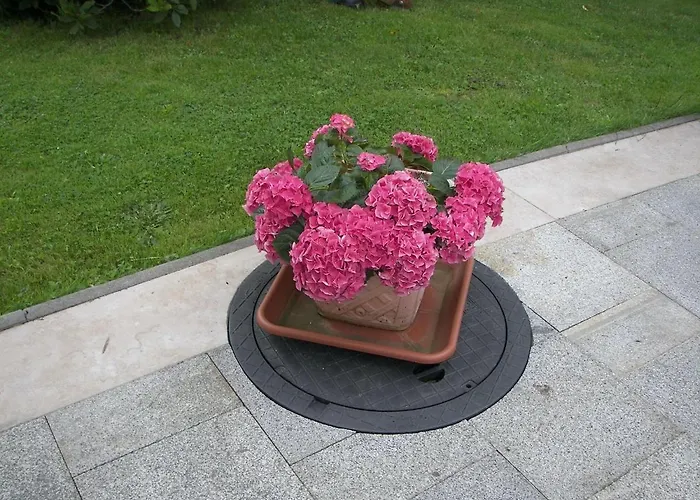 In Beim Boehmischen Park *